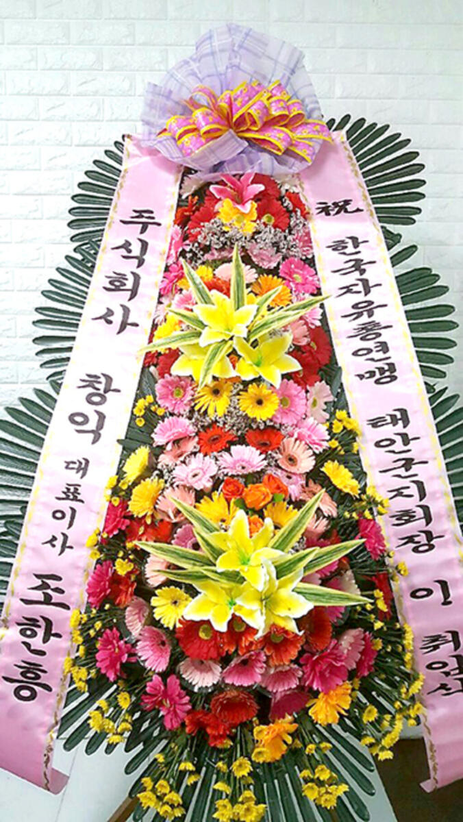 축하3단화한 준비중 (120,000 원)