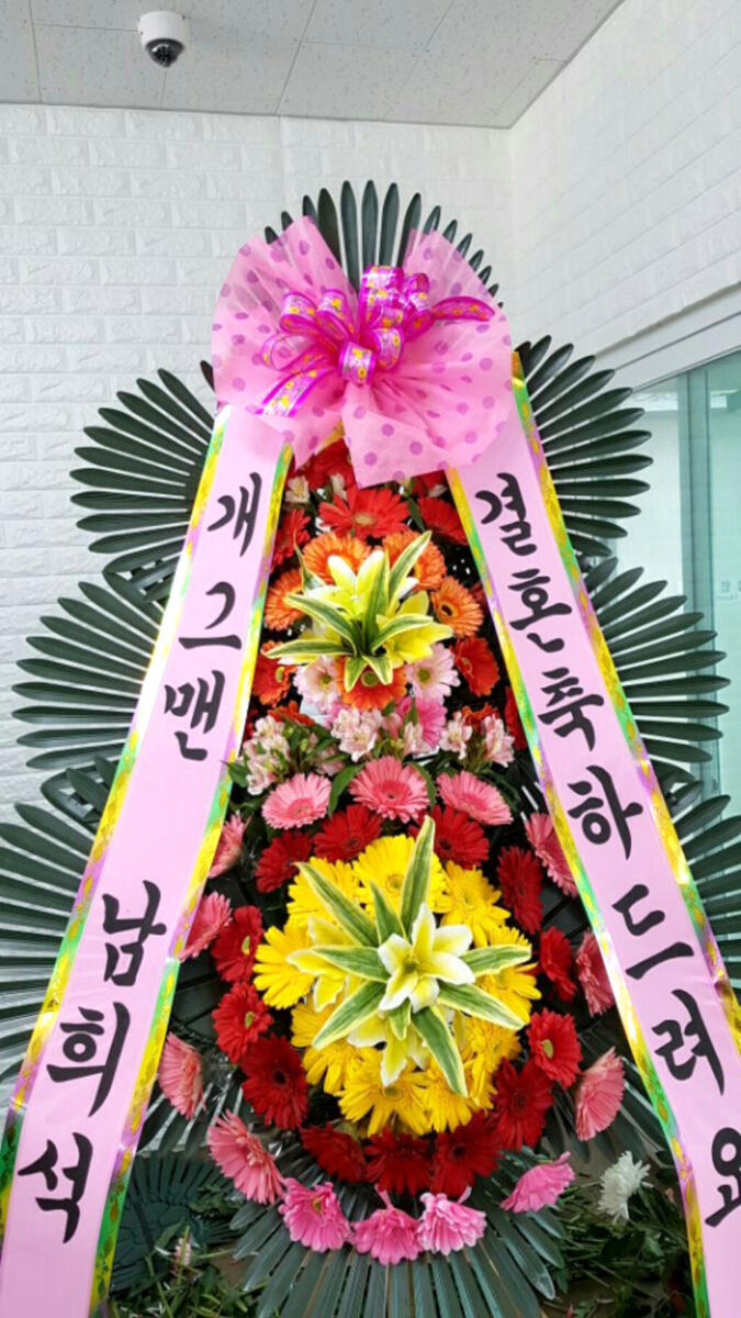 축하3단화한 준비중 (70,000 원)