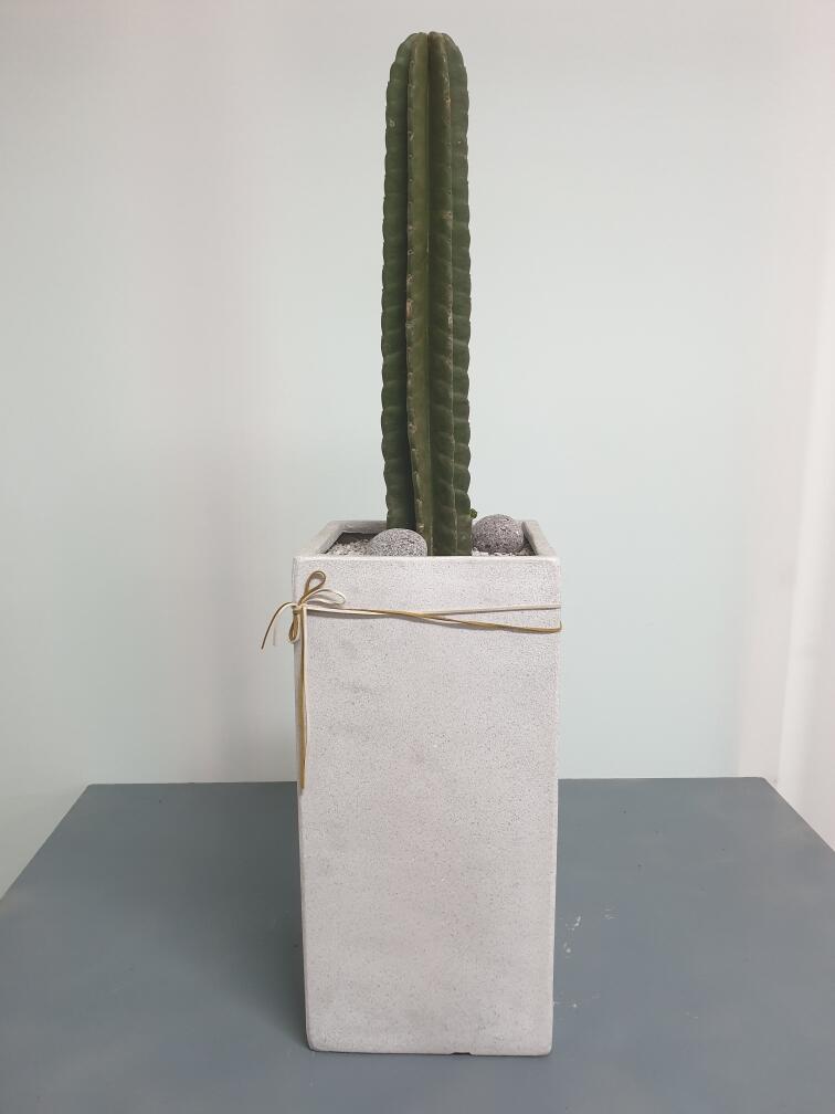 선인장 (100,000 원)