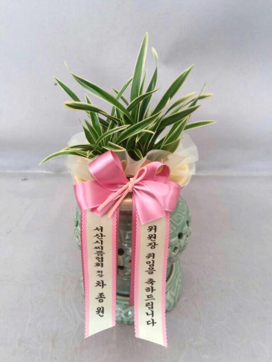 대국난 (60,000원)